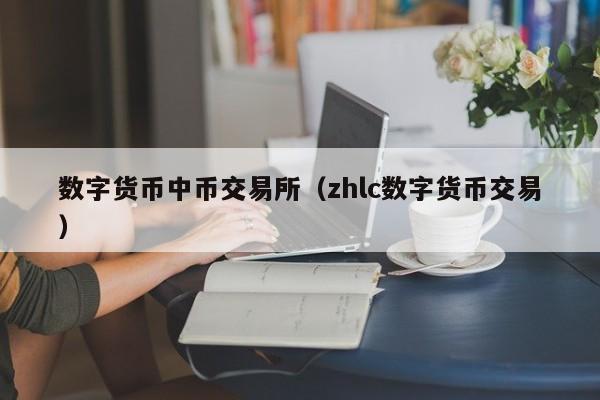 数字货币中币交易所(zhlc数字货币交易)