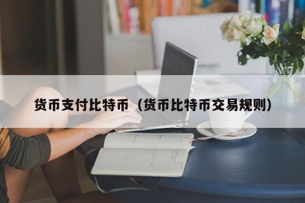 货币支付比特币(货币比特币交易规则)