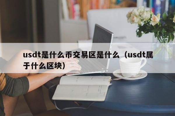 usdt是什么币交易区是什么(usdt属于什么区块)