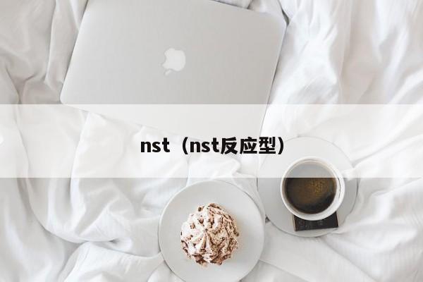nst(nst反应型)
