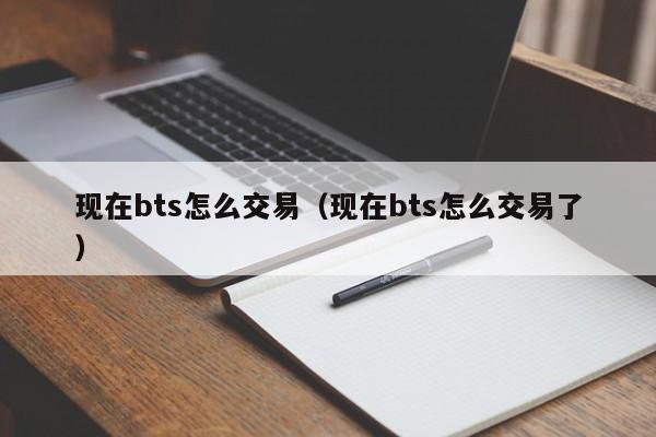 现在bts怎么交易(现在bts怎么交易了)