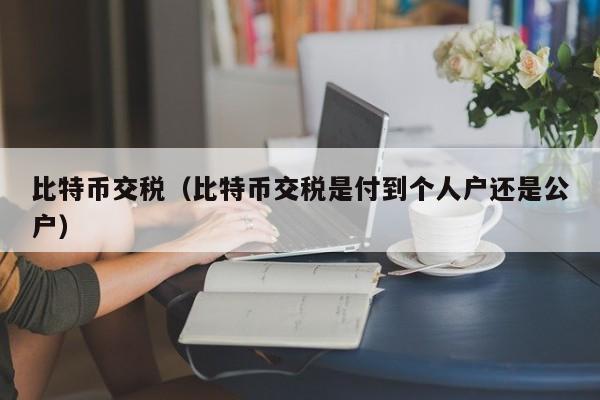 比特币交税(比特币交税是付到个人户还是公户)