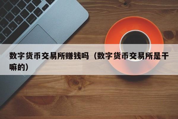 数字货币交易所赚钱吗(数字货币交易所是干嘛的)