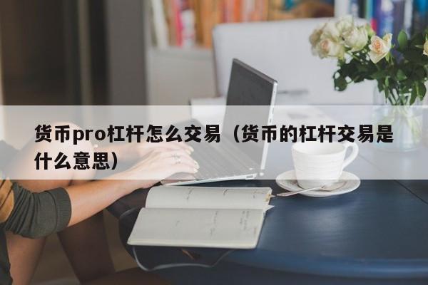 货币pro杠杆怎么交易(货币的杠杆交易是什么意思)