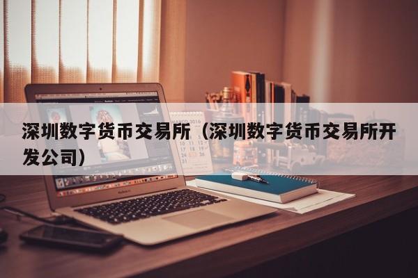 深圳数字货币交易所(深圳数字货币交易所开发公司)