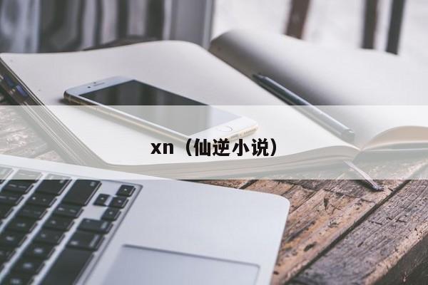 xn(仙逆小说)