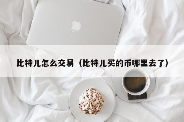 比特儿怎么交易(比特儿买的币哪里去了)