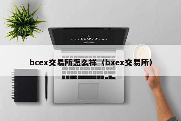 bcex交易所怎么样(bxex交易所)