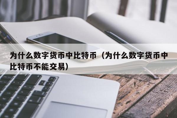 为什么数字货币中比特币(为什么数字货币中比特币不能交易)